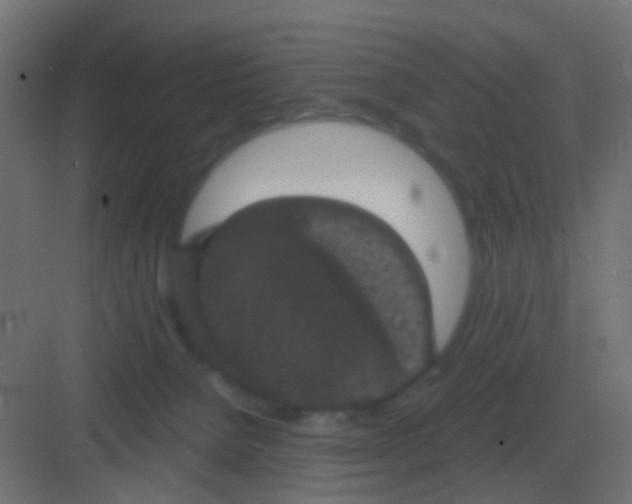 X0000081330080200702082213