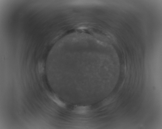 X0000081330081200702082213