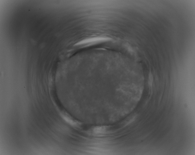 X0000081330084200702082213