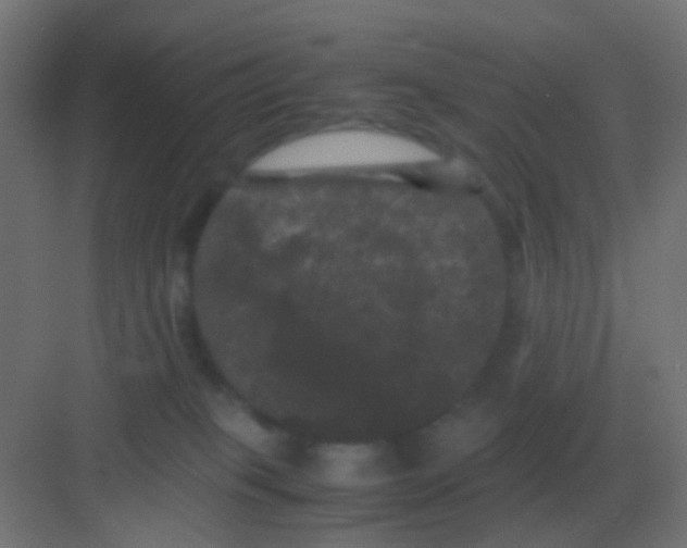 X0000081330085200702082213