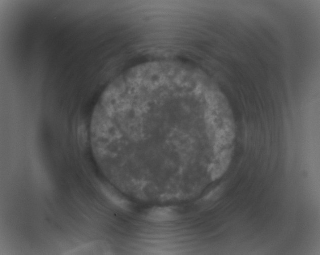 X0000081330086200702082213