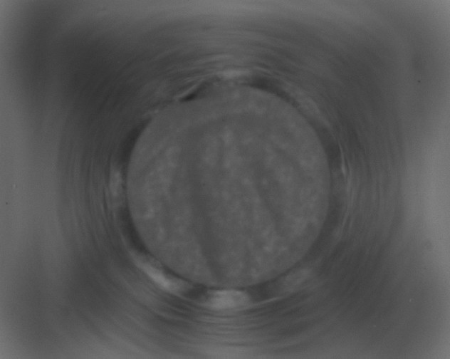 X0000081330087200702082213