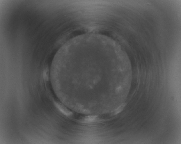 X0000081330090200702082213