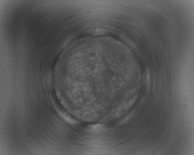 X0000081330092200702082213