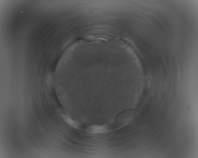 X0000081330093200702082213