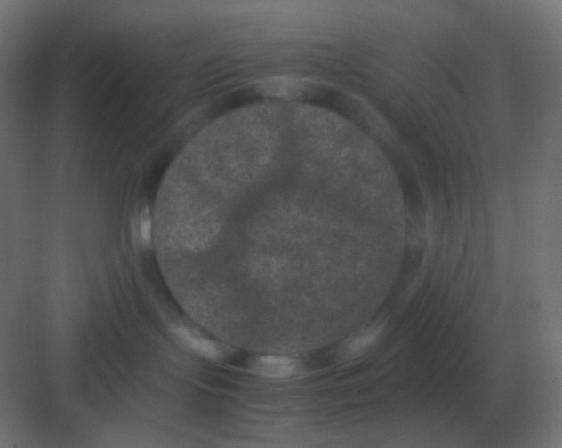 X0000081330095200702082213