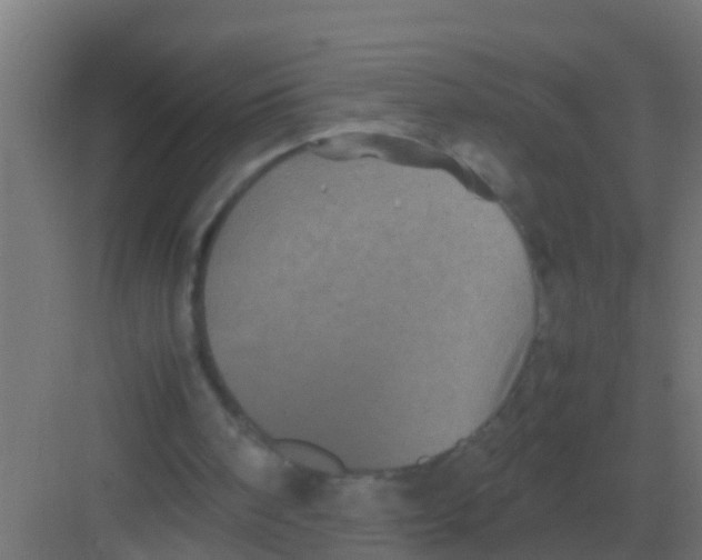 X0000081330098200702082212