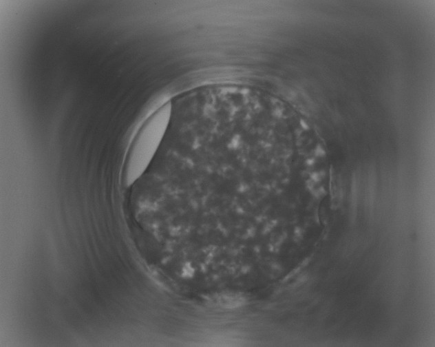 X0000081330099200702082212