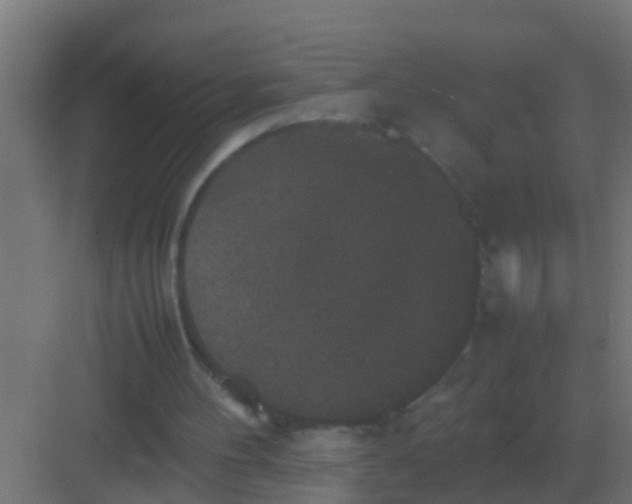 X0000081330100200702082212