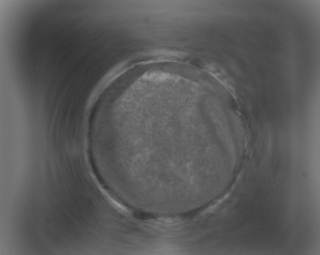 X0000081330101200702082212