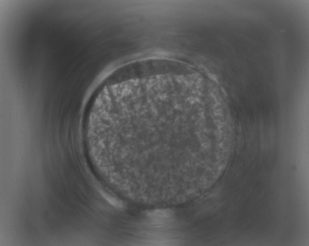 X0000081330102200702082212