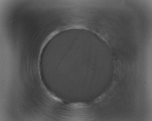 X0000081330104200702082212