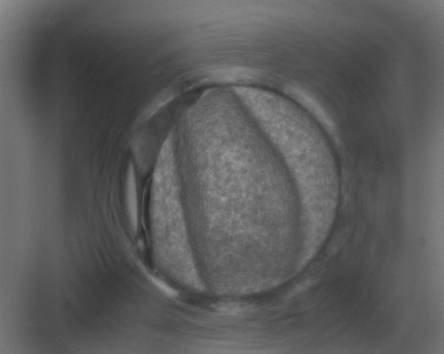 X0000081330105200702082212