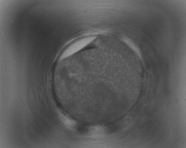 X0000081330107200702082212