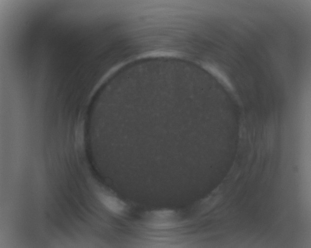 X0000081330108200702082212