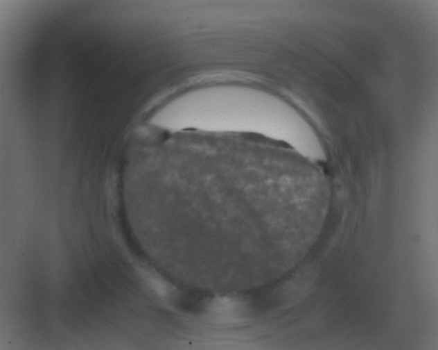 X0000081330111200702082212