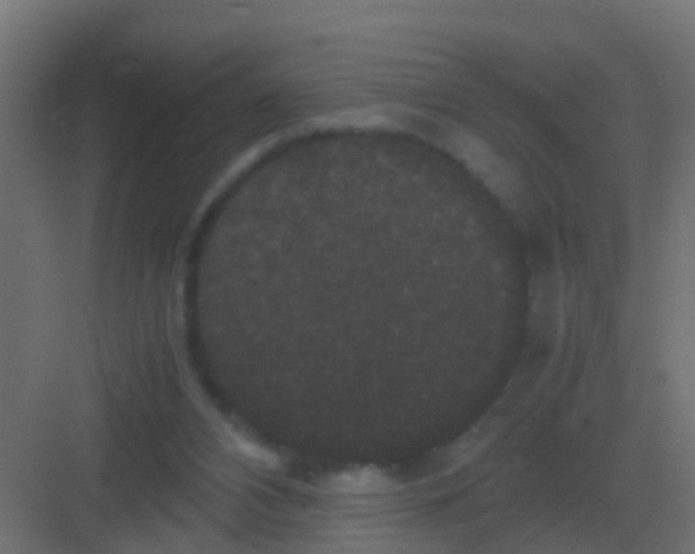 X0000081330112200702082212