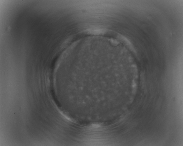 X0000081330114200702082212