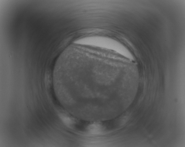 X0000081330119200702082212