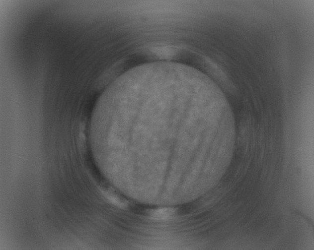 X0000081330122200702082212