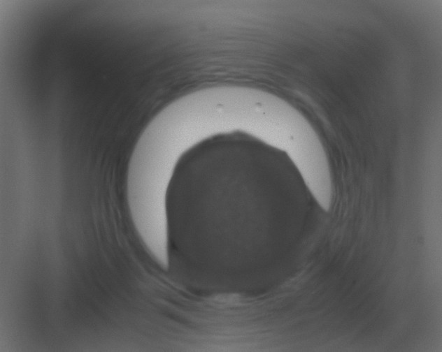 X0000081330123200702082212