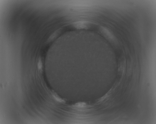 X0000081330124200702082212