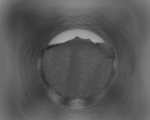 X0000081330125200702082212