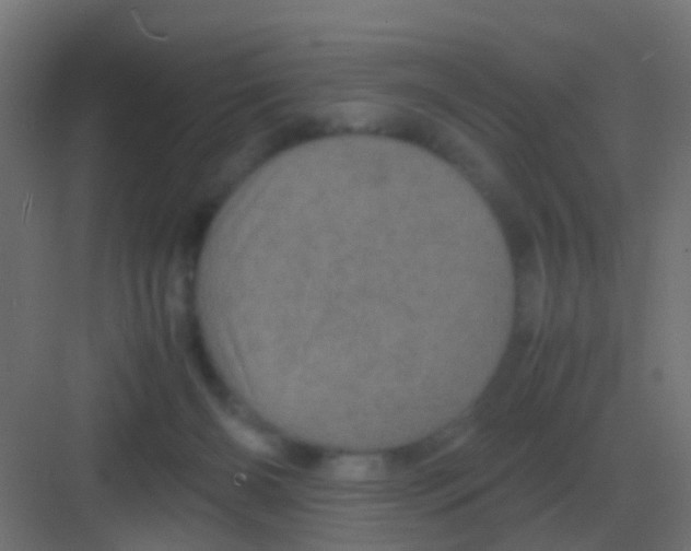 X0000081330126200702082212