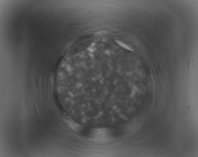 X0000081330127200702082212