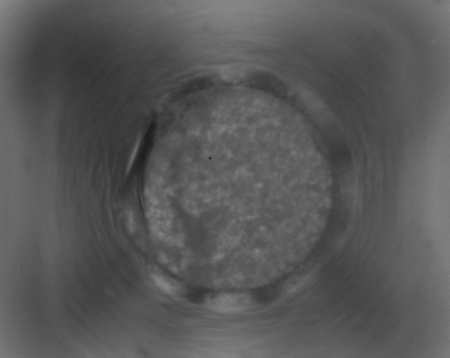 X0000081330129200702082212