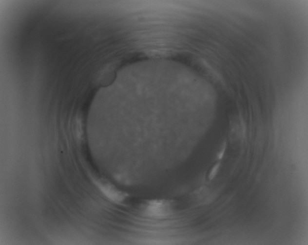 X0000081330130200702082212