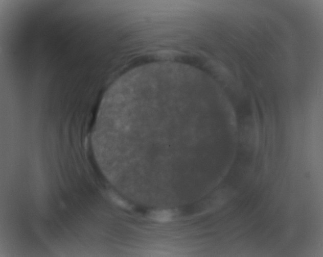 X0000081330131200702082212