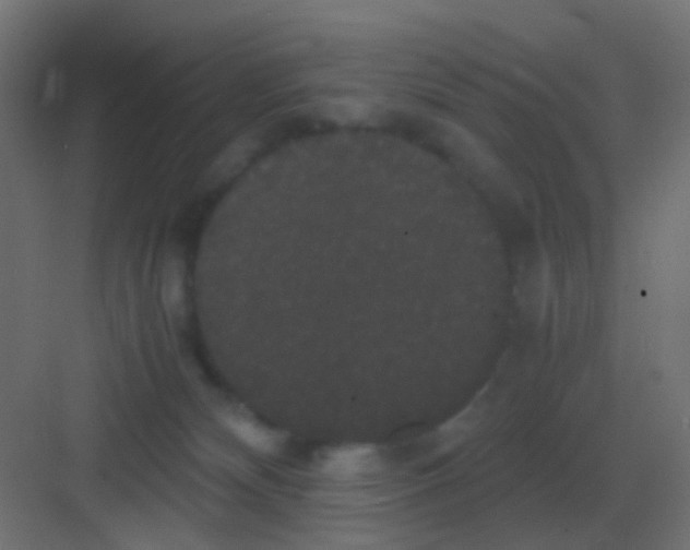 X0000081330132200702082212