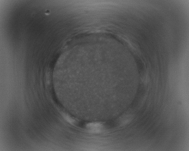 X0000081330133200702082212