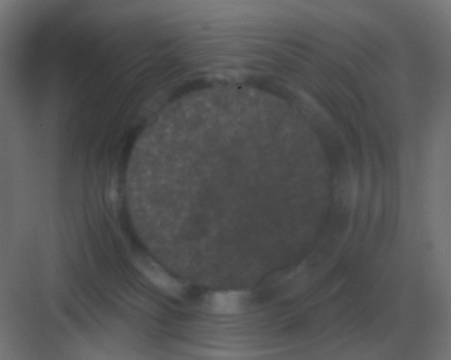 X0000081330134200702082212