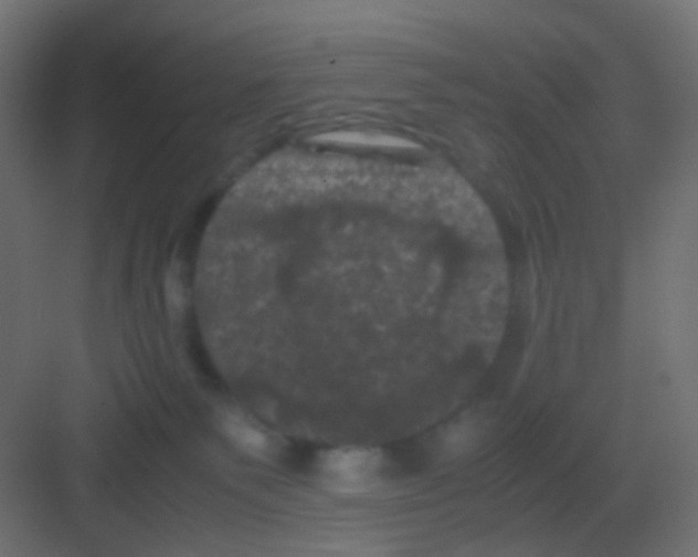 X0000081330135200702082212