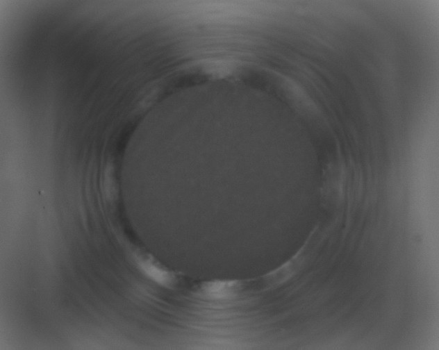 X0000081330136200702082212