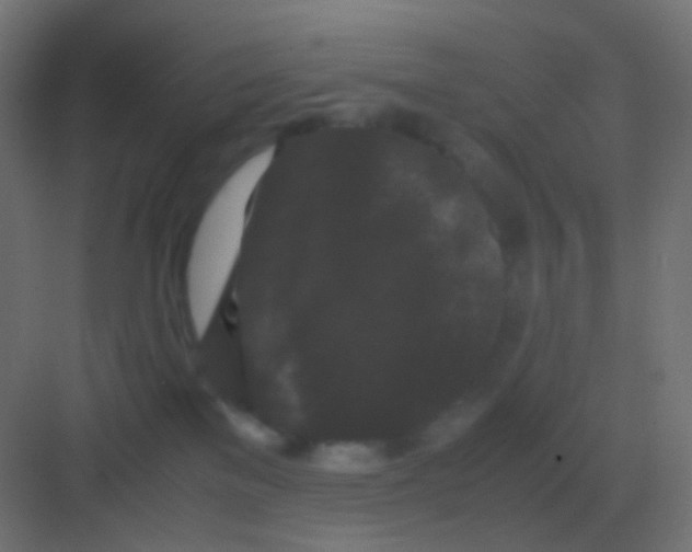 X0000081330137200702082212