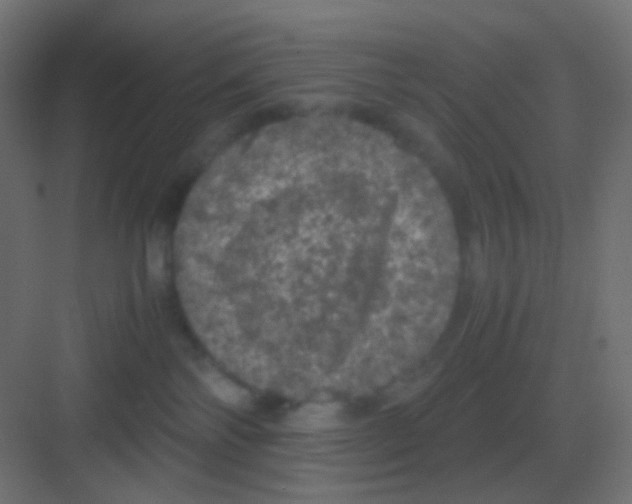 X0000081330138200702082212