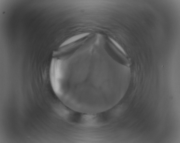 X0000081330139200702082212