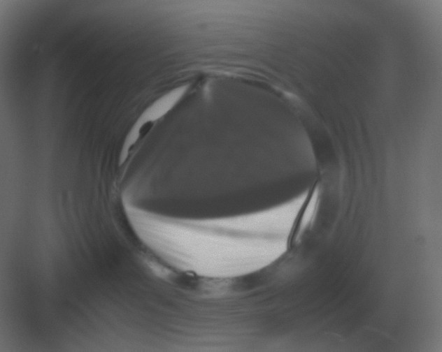 X0000081330143200702082212