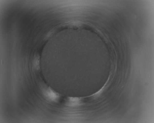 X0000081330144200702082212