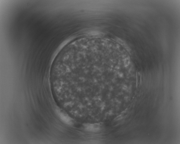 X0000081330147200702082211