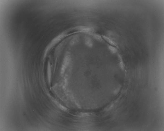 X0000081330149200702082211