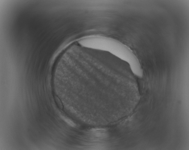 X0000081330150200702082211