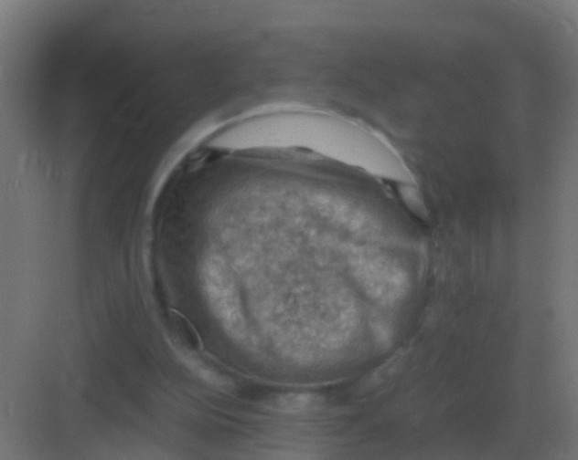 X0000081330152200702082211