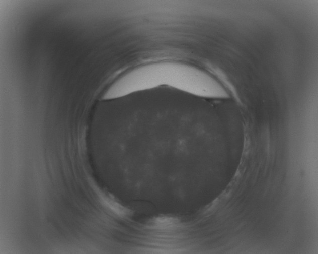 X0000081330154200702082211