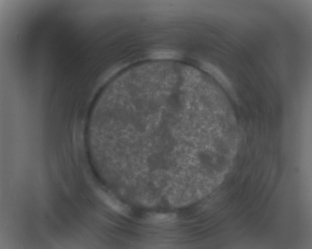 X0000081330155200702082211