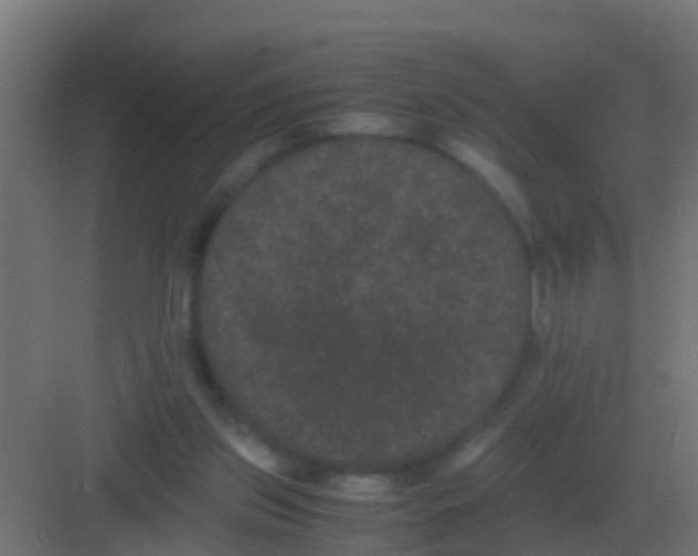 X0000081330157200702082211