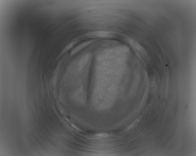 X0000081330158200702082211